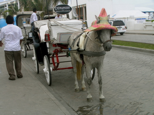 1-PS-Taxi auf der Insel Cozumel / Zum Vergrößern auf das Bild klicken