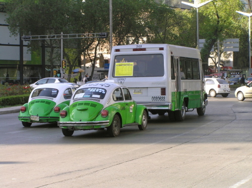 Grüne Käfer-Taxis in Mexiko City / Zum Vergrößern auf das Bild klicken