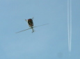 Donau-Symposium Hubschrauber beim Looping / Zum Vergrößern auf das Bild klicken