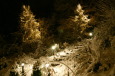 Weihnachtsbaume Reisenberg im Schnee bei Nacht / Zum Vergrößern auf das Bild klicken